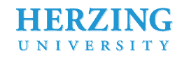 Herzing University